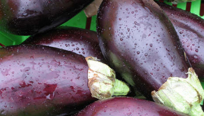 Aubergine